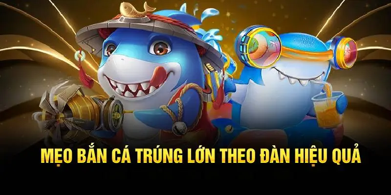 Mẹo bắn cá trúng lớn theo đàn hiệu quả